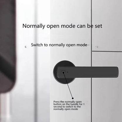 Biometric Smart Door Handle With Fingerprint